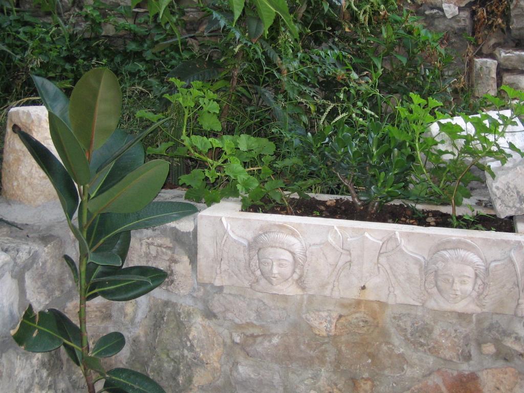 Apartamento Domus Marini *